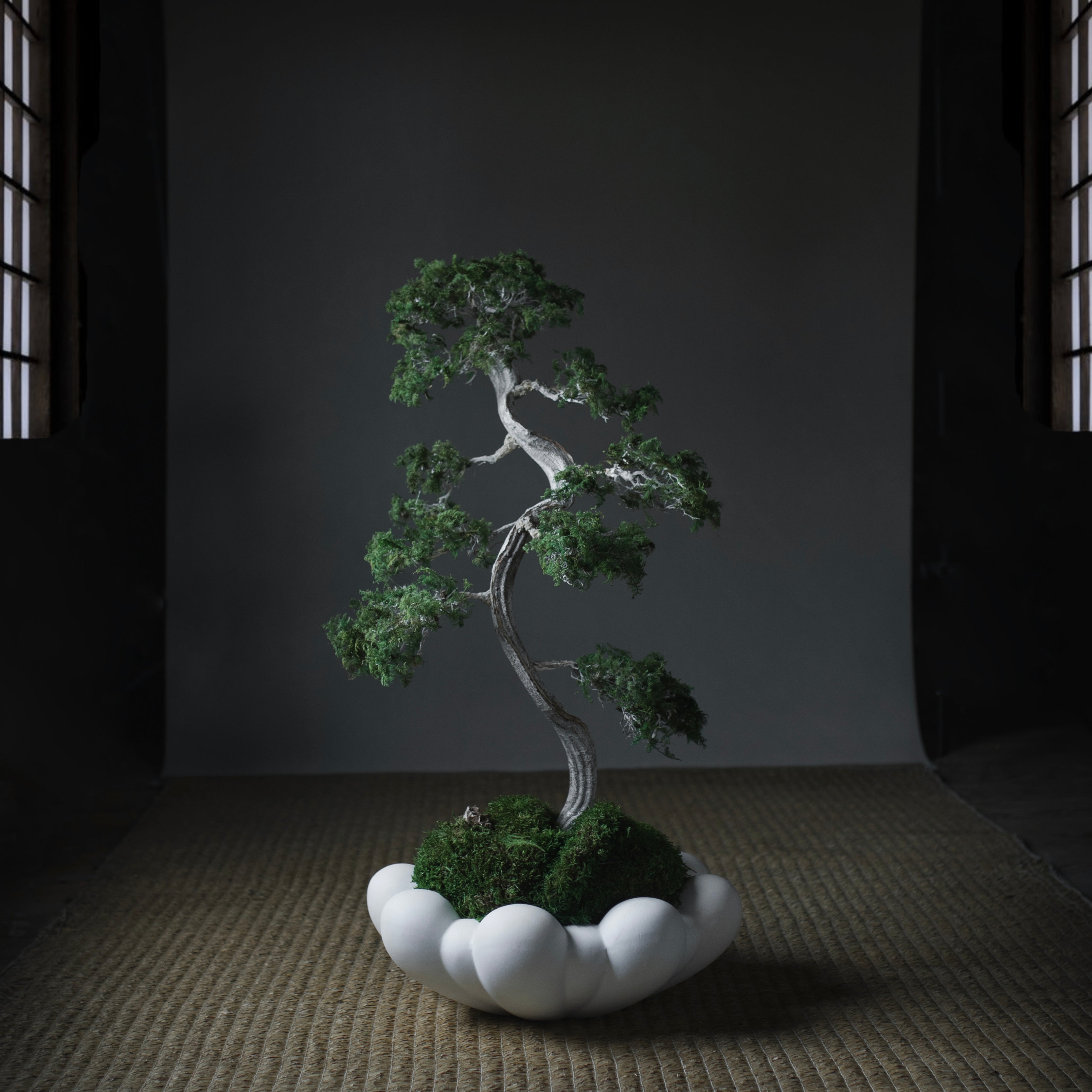 小物入れ 101  Bloom Tray Big Bone White Bloom tray – KaizenLiving DESIGN