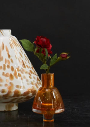 Mademoiselle Perlino/Amber