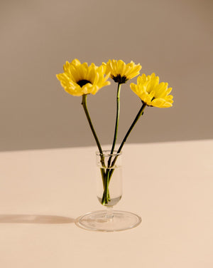 Vaso pequeno