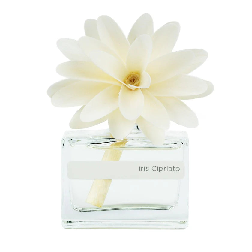 FLOWER IRIS CIPRIATO