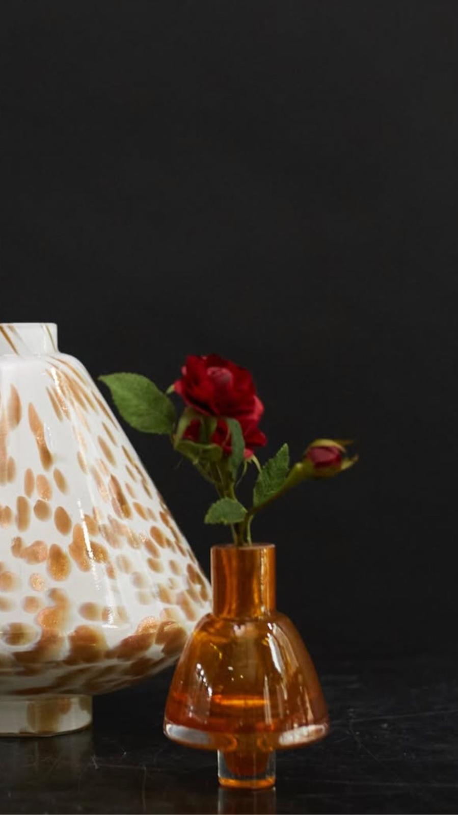 Mademoiselle Perlino/Amber